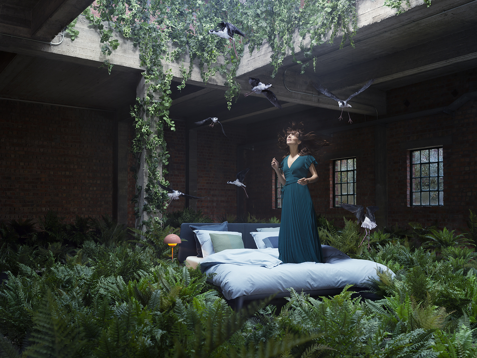 Home - Frieke Janssens